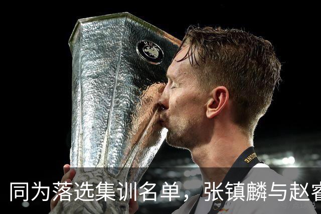 同为落选集训名单，张镇麟与赵睿的境遇差异何在？